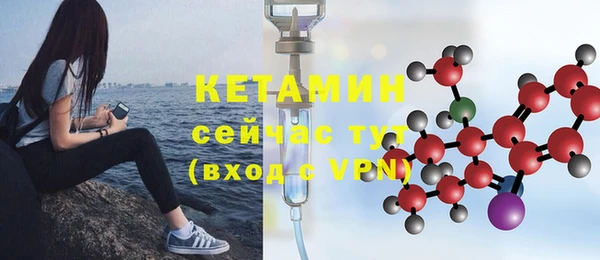 шишки Осинники