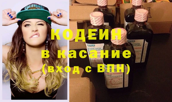 шишки Осинники
