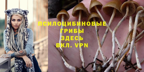 шишки Осинники